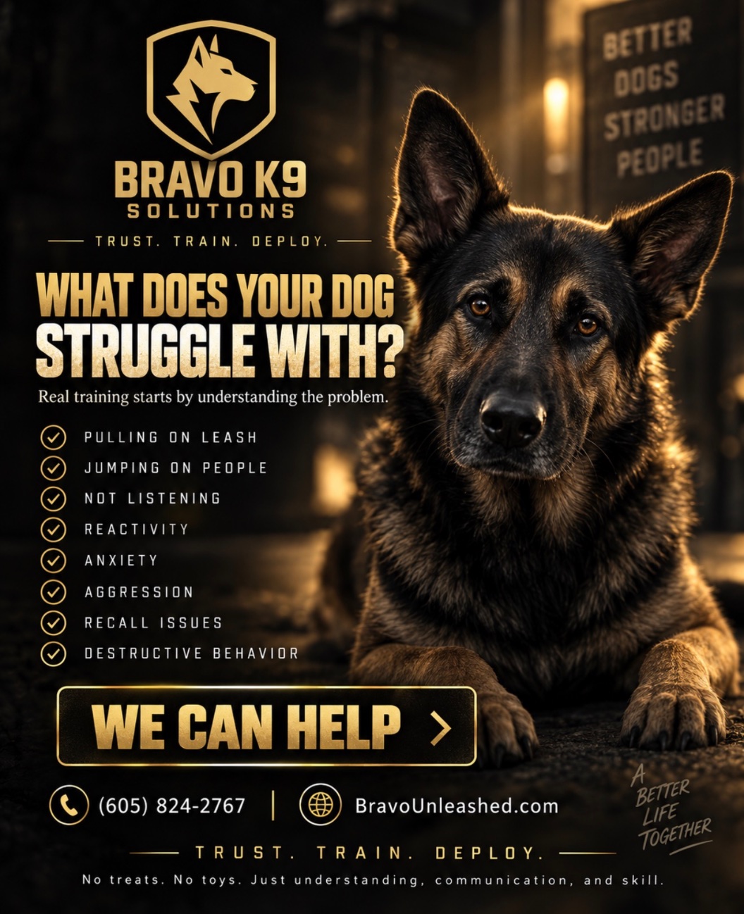 Bravo training session: a dog sitting attentively beside its trainer in a store aisle